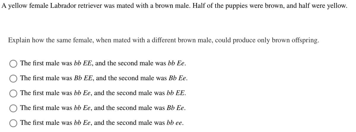 A yellow female Labrador retriever was mated with a brown male. Half of the puppies were brown, and half were yellow.
Explain how the same female, when mated with a different brown male, could produce only brown offspring.
The first male was bb EE, and the second male was bb Ee.
The first male was Bb EE, and the second male was Bb Ee.
The first male was bb Ee, and the second male was bb EE.
The first male was bb Ee, and the second male was Bb Ee.
The first male was bb Ee, and the second male was bb ee.