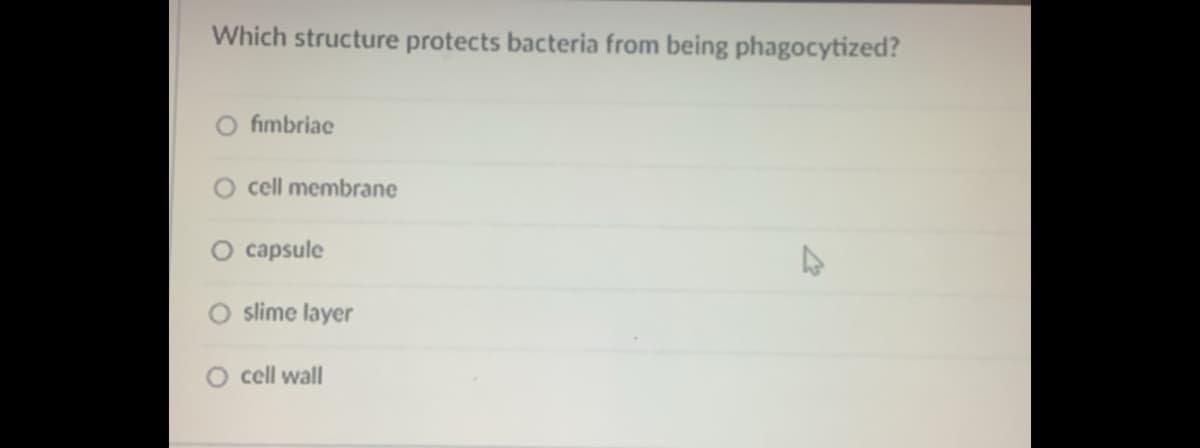 Which structure protects bacteria from being phagocytized?
O fimbriae
cell membrane
O capsule
slime layer
cell wall
