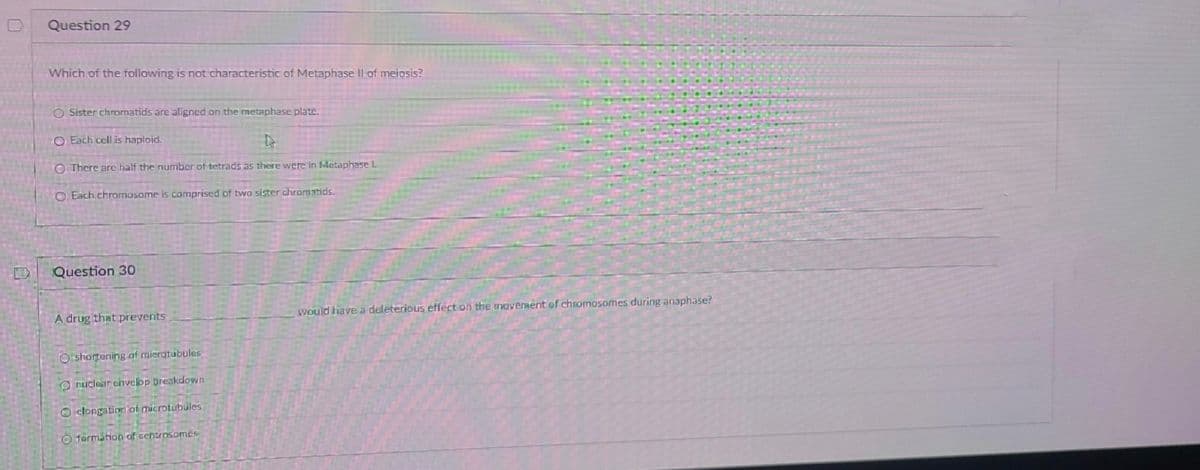Question 29
Which of the following is not characteristic of Metaphase Il of meiosis?
O Sister chronatids are aligned on the metaphase plate.
O Each cell is haploid.
O There are half the number of tetrads as there were in Metaphase L
O Each chromosome is comprised of two sister chromatids.
Question 30
A drug that prevents
would have a deleterious effect on the moverment of chomosomes during anaphase?
O'shortening of mierotubules
O nuclear chvelop breakdown
2 elongation of microtubules
O førmåtion of centrosomes
