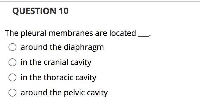 QUESTION 10
The pleural membranes are located
around the diaphragm
in the cranial cavity
in the thoracic cavity
around the pelvic cavity
