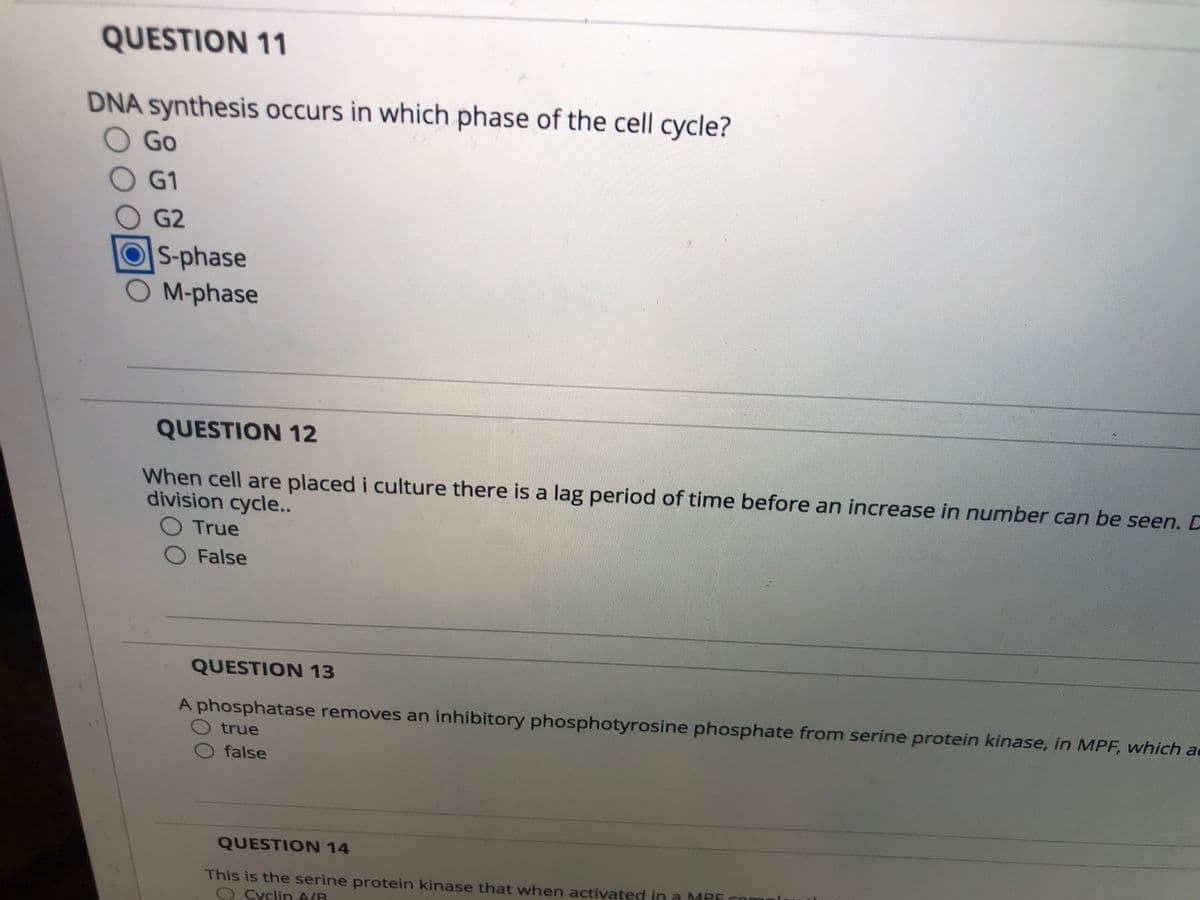 QUESTION 11
DNA synthesis occurs in which phase of the cell cycle?
O Go
O G1
G2
OS-phase
M-phase
QUESTION 12
When cell are placed i culture there is a lag period of time before an increase in number can be seen. D
division cycle..
O True
O False
QUESTION 13
A phosphatase removes an inhibitory phosphotyrosine phosphate from serine protein kinase, in MPF, which ac
O true
false
QUESTION 14
This is the serine protein kinase that when activated in a MPE com
Cyclin A/B
