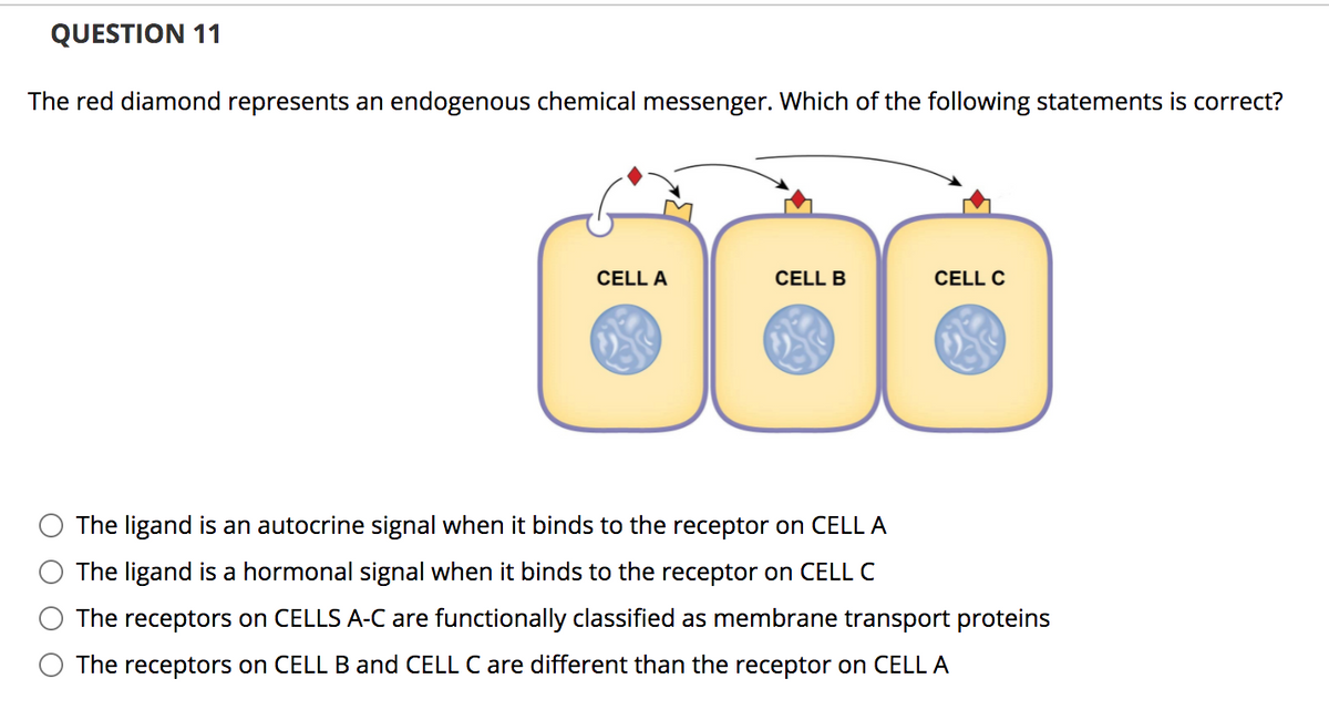 ### Question 11

The red diamond represents an endogenous chemical messenger. Which of the following statements is correct?

#### Diagram Interpretation
The diagram depicts three cells labeled CELL A, CELL B, and CELL C. Each cell has a rectangular shape with a nucleus (represented by a blue circle) inside. There are receptors on the surface of each cell, represented by small yellow structures. The red diamond, denoting an endogenous chemical messenger, interacts with these receptors.

Arrows indicate that the red diamond is binding to the receptors on each of the three cells, suggesting a signaling mechanism.

#### Multiple Choice Options
1. **The ligand is an autocrine signal when it binds to the receptor on CELL A**
2. **The ligand is a hormonal signal when it binds to the receptor on CELL C**
3. **The receptors on CELLS A-C are functionally classified as membrane transport proteins**
4. **The receptors on CELL B and CELL C are different than the receptor on CELL A**

In the context of cell signaling, these options explore different types of signaling mechanisms and the nature of receptors involved in cellular communication.