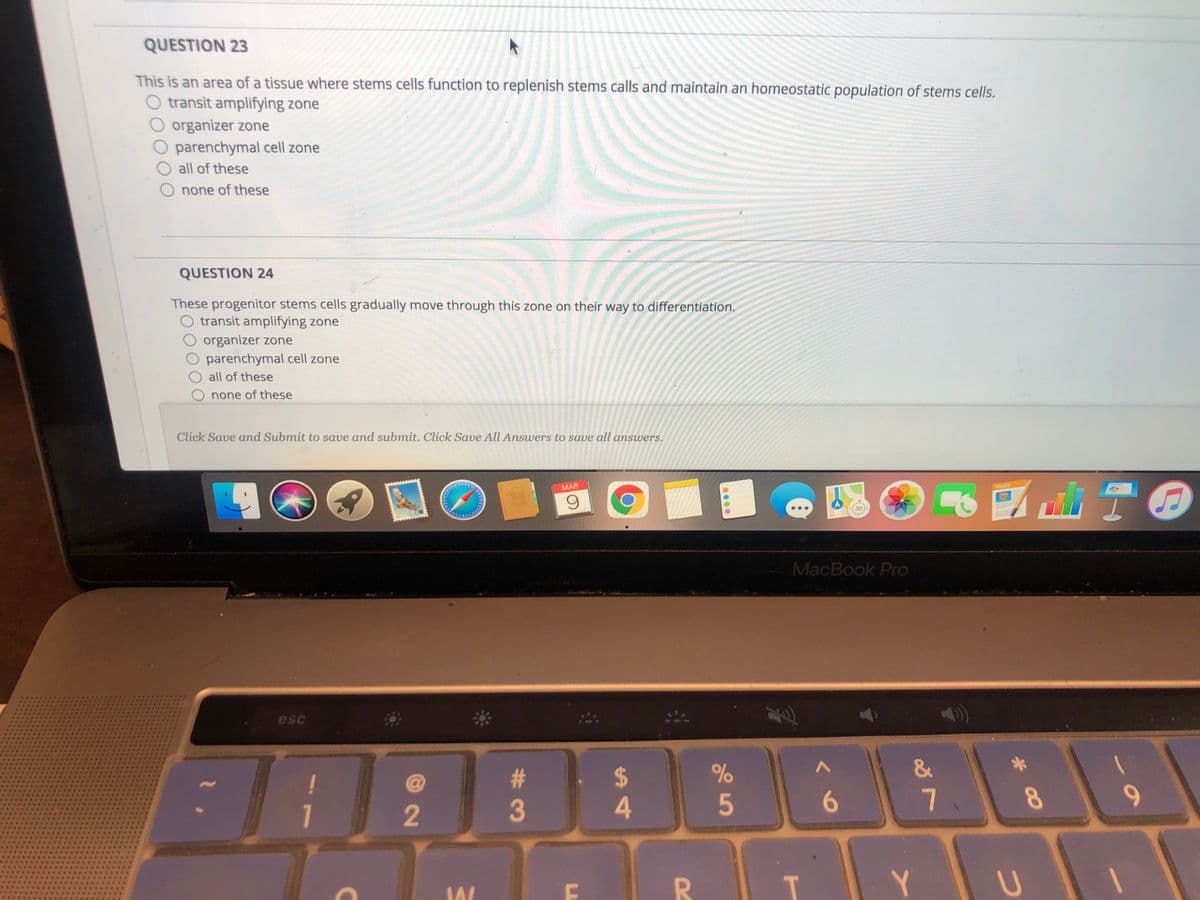 QUESTION 23
This is an area of a tissue where stems cells function to replenish stems calls and maintain an homeostatic population of stems cells.
transit amplifying zone
organizer zone
parenchymal cell zone
all of these
none of these
QUESTION 24
These progenitor stems cells gradually move through this zone on their way to differentiation.
transit amplifying zone
O organizer zone
parenchymal cell zone
O all of these
none of these
Click Save and Submit to save and submit. Click Save All Answers to save all amswers.
MAR
PAGES
6.
3D
MacBook Pro
HEESI
esc
%23
%2$
&
*** eTT P
** a 4 T *
*** *4 .
2
3
5
7.
8.
9-
ह ३ हें
*ps * a * *
Y* R A R *
中* * * **
* *系*
彰
T.
R
