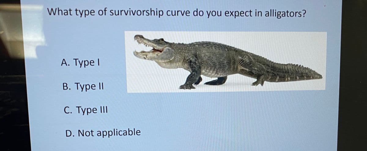 What type of survivorship curve do you expect in alligators?
A. Type I
В. Туре I
C. Type III
D. Not applicable
