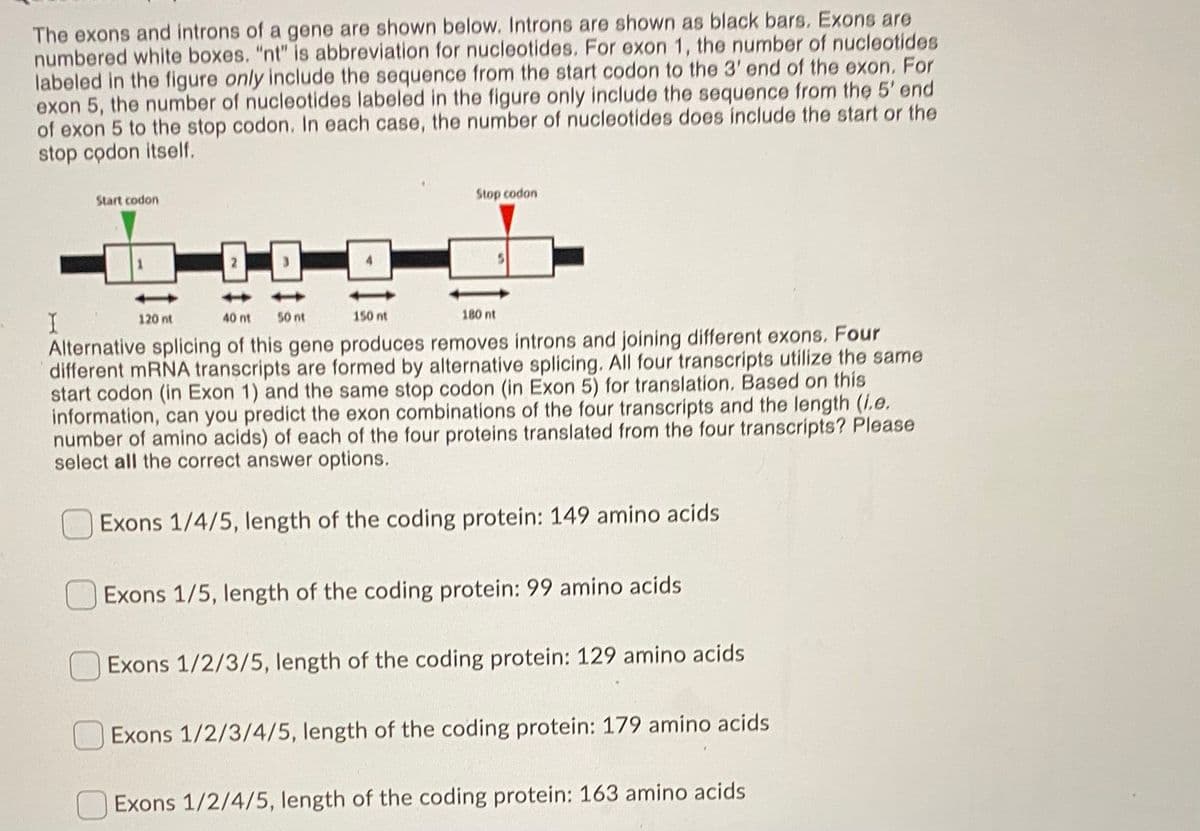 The exons and introns of a gene are shown below. Introns are shown as black bars. Exons are
numbered white boxes. "nt" is abbreviation for nucleotides. For exon 1, the number of nucleotides
labeled in the figure only include the sequence from the start codon to the 3' end of the exon. For
exon 5, the number of nucleotides labeled in the figure only include the sequence from the 5' end
of exon 5 to the stop codon. In each case, the number of nucleotides does include the start or the
stop codon itself.
Stop codon
Start codon
120 nt
40 nt
50 nt
150 nt
180 nt
Alternative splicing of this gene produces removes introns and joining different exons. Four
different mRNA transcripts are formed by alternative splicing. All four transcripts utilize the same
start codon (in Exon 1) and the same stop codon (in Exon 5) for translation. Based on this
information, can you predict the exon combinations of the four transcripts and the length (I.e.
number of amino acids) of each of the four proteins translated from the four transcripts? Please
select all the correct answer options.
Exons 1/4/5, length of the coding protein: 149 amino acids
Exons 1/5, length of the coding protein: 99 amino acids
Exons 1/2/3/5, length of the coding protein: 129 amino acids
Exons 1/2/3/4/5, length of the coding protein: 179 amino acids
Exons 1/2/4/5, length of the coding protein: 163 amino acids
