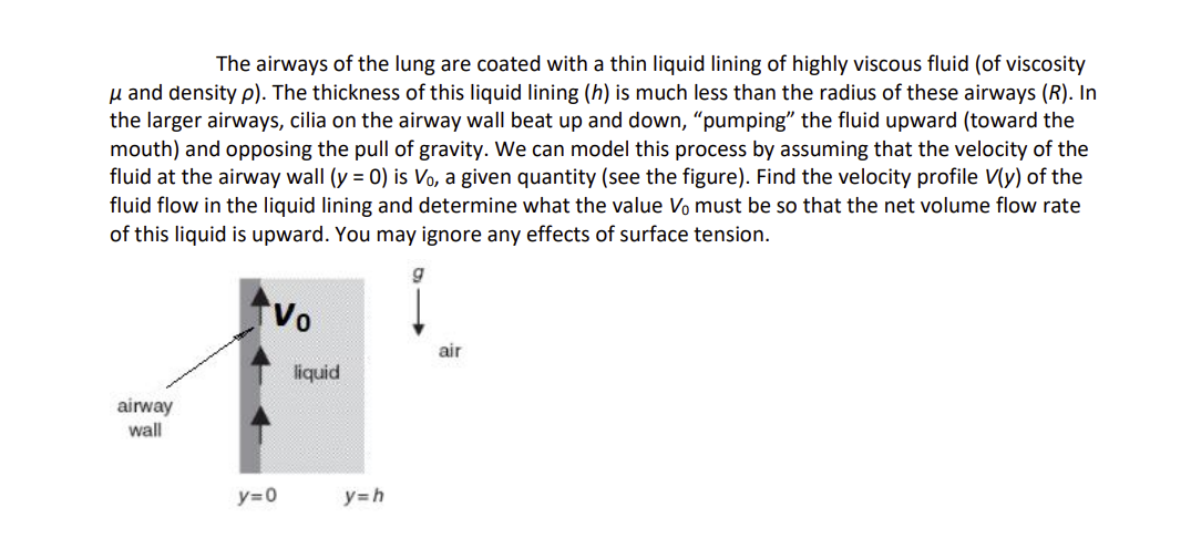 The airways of the lung are coated with a thin liquid lining of highly viscous fluid (of viscosity
μ and density p). The thickness of this liquid lining (h) is much less than the radius of these airways (R). In
the larger airways, cilia on the airway wall beat up and down, "pumping" the fluid upward (toward the
mouth) and opposing the pull of gravity. We can model this process by assuming that the velocity of the
fluid at the airway wall (y = 0) is Vo, a given quantity (see the figure). Find the velocity profile V(y) of the
fluid flow in the liquid lining and determine what the value Vo must be so that the net volume flow rate
of this liquid is upward. You may ignore any effects of surface tension.
airway
wall
Vo
y=0
liquid
y=h
g
air