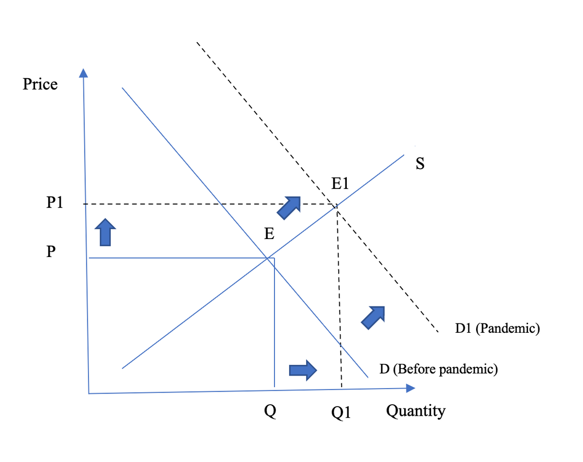 Price
S
E1
P1
E
D1 (Pandemic)
D (Before pandemic)
Q1
Quantity
