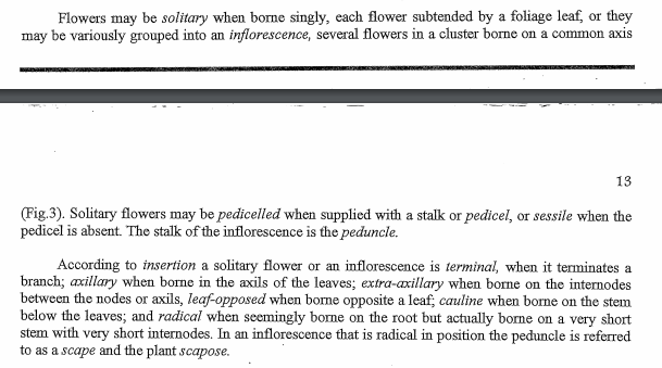 Flowers may be solitary when borne singly, each flower subtended by a foliage leaf, or they
may be variously grouped into an inflorescence, several flowers in a cluster borne on a common axis
13
(Fig.3). Solitary flowers may be pedicelled when supplied with a stalk or pedicel, or sessile when the
pedicel is absent. The stalk of the inflorescence is the peduncle.
According to insertion a solitary flower or an inflorescence is terminal, when it terminates a
branch; axillary when borne in the axils of the leaves; extra-axillary when borne on the internodes
between the nodes or axils, leaf-opposed when borne opposite a leaf; cauline when borne on the stem
below the leaves; and radical when seemingly borne on the root but actually borne on a very short
stem with very short internodes. In an inflorescence that is radical in position the peduncle is referred
to as a scape and the plant scapose.
