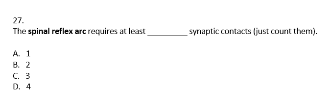 27.
The spinal reflex arc requires at least
synaptic contacts (just count them).
А. 1
В. 2
С. 3
D. 4
