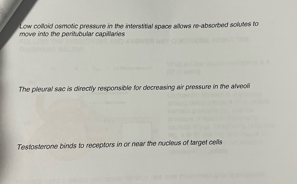 Low colloid osmotic pressure in the interstitial space allows re-absorbed solutes to
move into the peritubular capillaries
The pleural sac is directly responsible for decreasing air pressure in the alveoli
Testosterone binds to receptors in or near the nucleus of target cells
tration rate