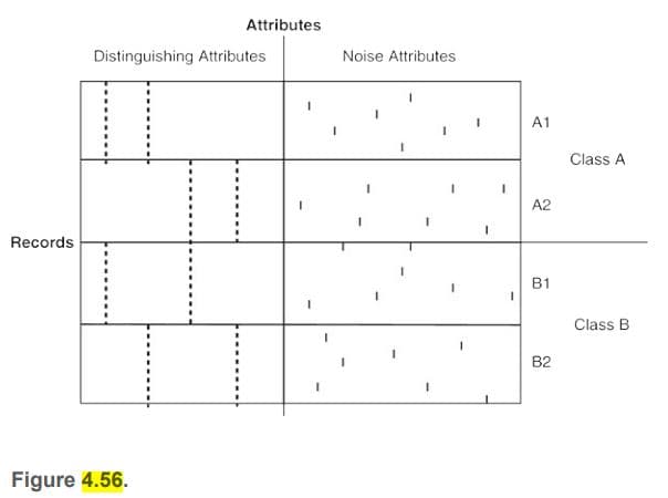 Attributes
Distinguishing Attributes
Noise Attributes
A1
Class A
A2
Records
B1
Class B
B2
Figure 4.56.
