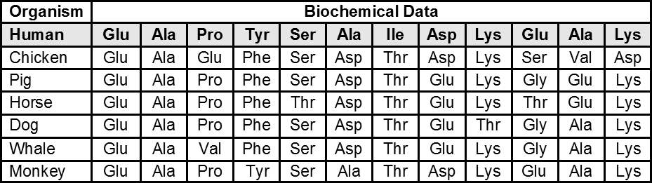 Organism
Biochemical Data
Tyr | Ser
Phe | Ser | Asp | Thr Asp Lys Ser
Phe | Ser | Asp | Thr
Thr Asp | Thr
Phe | Ser | Asp | Thr
Ala | Lys
Val | Asp
Lys
Lys
Human
Glu
Ala
Pro
Ala
Ile
Asp | Lys | Glu
Chicken
Glu
Ala
Glu
Lys | Gly | Glu
Lys | Thr | Glu
Gly
Pig
Glu
Ala
Pro
Glu
Horse
Glu
Ala
Pro
Phe
Glu
Dog
Glu
Ala
Pro
Glu
Thr
Ala
Lys
Ser | Asp | Thr Glu | Lys Gly Ala | Lys
Asp | Lys | Glu
Whale
Glu
Ala
Val
Phe
Monkey
Glu
Ala
Pro
Tyr
| Ser
Ala
Thr
Ala
Lys
