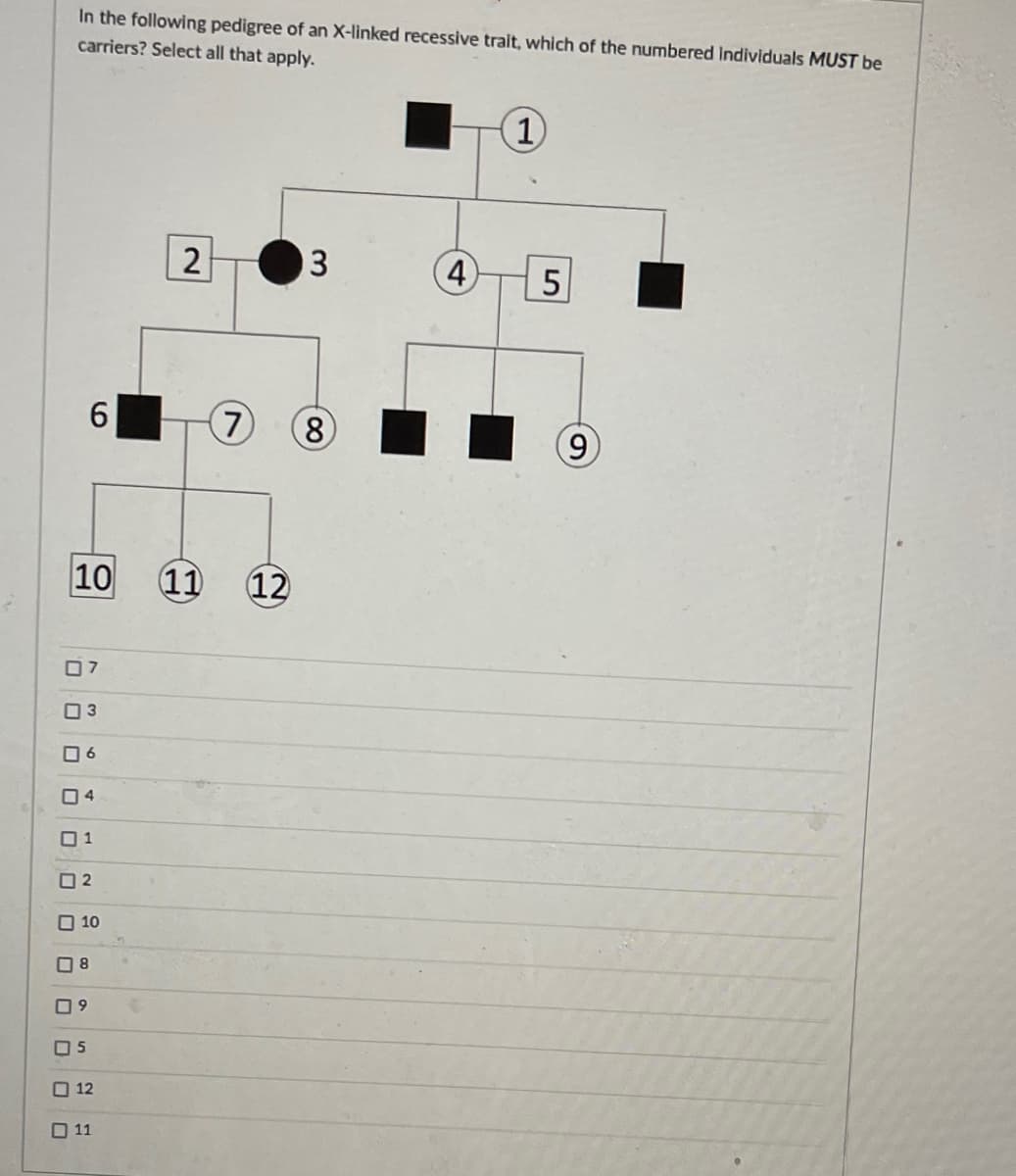 In the following pedigree of an X-linked recessive trait, which of the numbered individuals MUST be
carriers? Select all that apply.
(1)
2
3
7 8
6
10
07
3
06
04
01
2
10
8
09
5
12
11
(11) 12
4
5