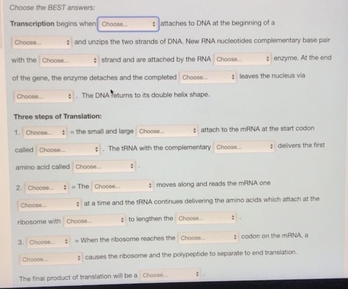 Choose the BEST answers:
Transcription begins when Choose...
Choose...
with the Choose...
of the gene, the enzyme detaches and the completed Choose...
The DNA Teturns to its double helix shape.
Choose...
Three steps of Translation:
1. Choose...
called Choose...
2. Choose...
attaches to DNA at the beginning of a
and unzips the two strands of DNA. New RNA nucleotides complementary base pair
strand and are attached by the RNA Choose...
enzyme. At the end
amino acid called Choose...
Choose...
3. Choose...
= the small and large choose...
Choose...
ribosome with Choose...
The Choose...
leaves the nucleus via
The tRNA with the complementary Choose....
moves along and reads the mRNA one
at a time and the tRNA continues delivering the amino acids which attach at the
to lengthen the Choose...
+ attach to the mRNA at the start codon
#delivers the first
The final product of translation will be a Choose...
= When the ribosome reaches the Choose...
codon on the mRNA, a
causes the ribosome and the polypeptide to separate to end translation.