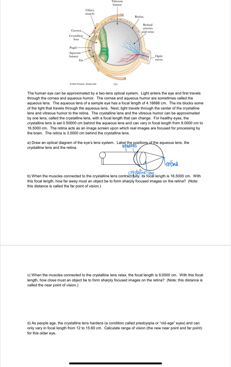 Vitreous
humor
Ciliary
muscle
Retina
Retinal
arteries
Cornea
and veins
Crystalline
lens
Pupil
Aqueous
humor
Optic
Iris
nerve
2000 Thomson - Brooks Cole
(a)
The human eye can be approximated by a two-lens optical system. Light enters the eye and first travels
through the cornea and aqueous humor. The cornea and aqueous humor are sometimes called the
aqueous lens. The aqueous lens of a sample eye has a focal length of 4.16666 cm. The iris blocks some
of the light that travels through the aqueous lens. Next, light travels through the center of the crystalline
lens and vitreous humor to the retina. The crystalline lens and the vitreous humor can be approximated
by one lens, called the crystalline lens, with a focal length that can change. For healthy eyes, the
crystalline lens is set 0.50000 cm behind the aqueous lens and can vary in focal length from 9.0000 cm to
16.5000 cm. The retina acts as an image screen upon which real images are focused for processing by
the brain. The retina is 3.0000 cm behind the crystalline lens.
a) Draw an optical diagram of the eye's lens system. Labeļ the positions of the aqueous lens, the
ayuesas
crystalline lens and the retina.
Tretina
Tetina
Crystalline Te
b) When the muscles connected to the crystalline lens contract fully, its focal length is 16.5000 cm. With
this focal length, how far away must an object be to form sharply focused images on the retina? (Note:
this distance is called the far point of vision.)
c) When the muscles connected to the crystalline lens relax, the focal length is 9.0000 cm. With this focal
length, how close must an object be to form sharply focused images on the retina? (Note: this distance is
called the near point of vision.)
d) As people age, the crystalline lens hardens (a condition called presbyopia or "old-age" eyes) and can
only vary in focal length from 12 to 15.60 cm. Calculate range of vision (the new near point and far point)
for this older eye.
