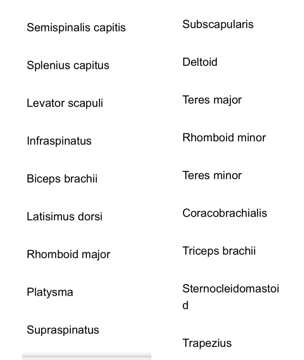 Semispinalis capitis
Splenius capitus
Levator scapuli
Infraspinatus
Biceps brachii
Latisimus dorsi
Rhomboid major
Platysma
Supraspinatus
Subscapularis
Deltoid
Teres major
Rhomboid minor
Teres minor
Coracobrachialis
Triceps brachii
Sternocleidomastoi
d
Trapezius