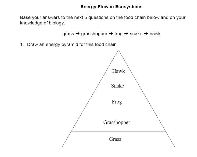 ### Energy Flow in Ecosystems

**Instructions:**
Base your answers to the next 5 questions on the food chain below and on your knowledge of biology.

**Food Chain:**
grass → grasshopper → frog → snake → hawk

**Question 1:**
1. Draw an energy pyramid for this food chain.

**Explanation of the Diagram:**
The diagram shown is an energy pyramid for the provided food chain. It is a triangular figure divided into five horizontal levels, each representing a different organism in the food chain. Each level is progressively smaller as you move up the pyramid, illustrating the decrease in energy that is available at each trophic (feeding) level.

- **Bottom Level:** Grass (Producers)
- **Second Level:** Grasshopper (Primary Consumers)
- **Third Level:** Frog (Secondary Consumers)
- **Fourth Level:** Snake (Tertiary Consumers)
- **Top Level:** Hawk (Quaternary Consumers)

The energy pyramid visually demonstrates the transfer of energy through the ecosystem, starting with the producers at the base and moving up to the top predators. This model helps illustrate the principle that energy diminishes as it moves through different trophic levels in an ecosystem.