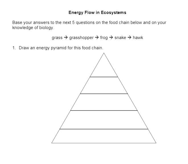 Energy Flow in Ecosystems
Base your answers to the next 5 questions on the food chain below and on your
knowledge of biology.
grass → grasshopper → frog → snake → hawk
1. Draw an energy pyramid for this food chain.
