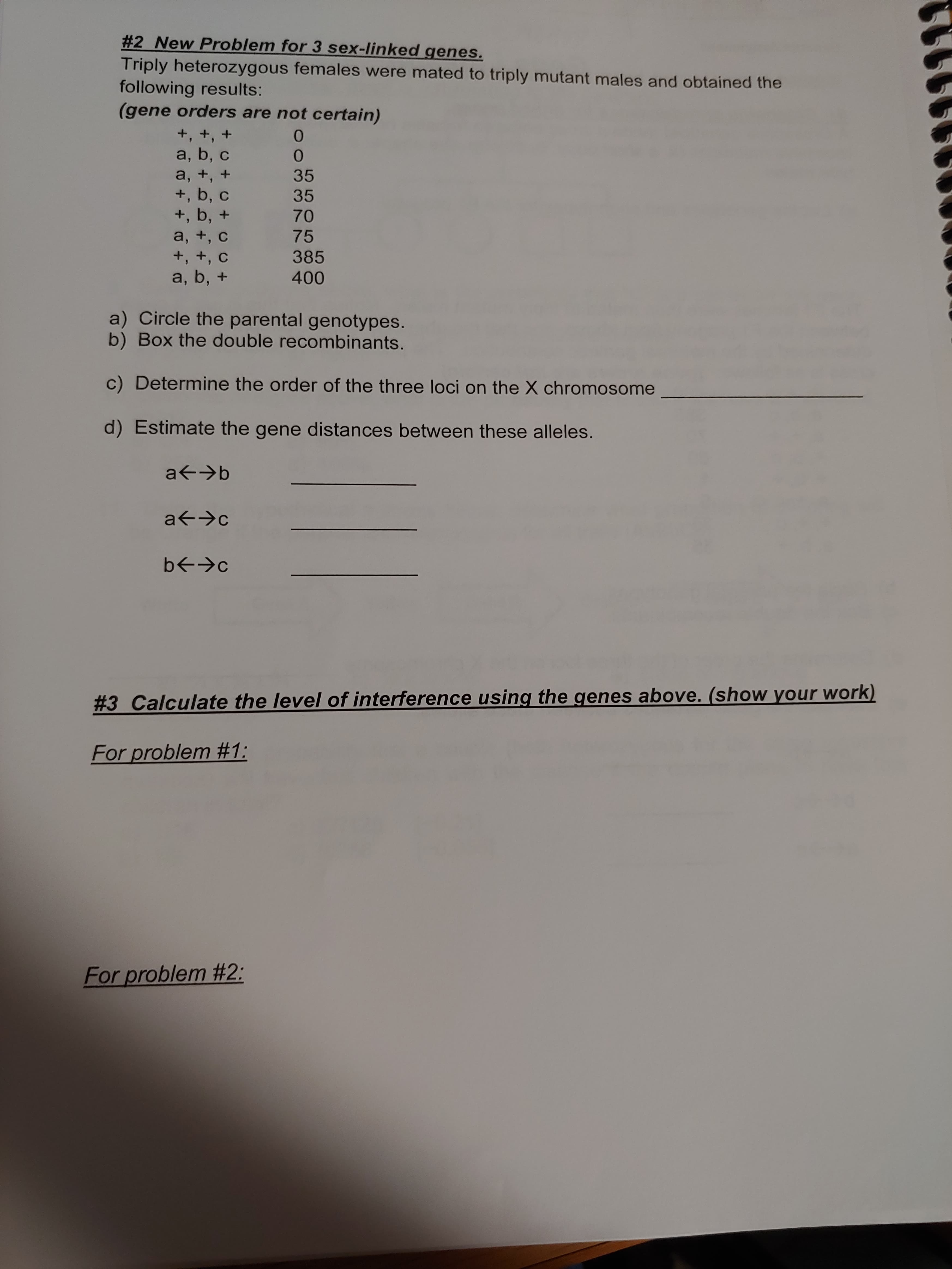 #2 New Problem for 3 sex-linked genes.
Triply heterozygous females were mated to triply mutant males and obtained the
following results:
(gene orders are not certain)
+, +, +
a, b, c
35
a, +, +
+, b, c
+, b, +
35
a, +, c
75
+, +, c
385
a, b, +
a) Circle the parental genotypes.
b) Box the double recombinants.
c) Determine the order of the three loci on the X chromosome
d) Estimate the gene distances between these alleles.
a<→b
a<→c
b<→c
#3 Calculate the level of interference using the genes above. (show your work)
For problem #1:
For problem #2:
