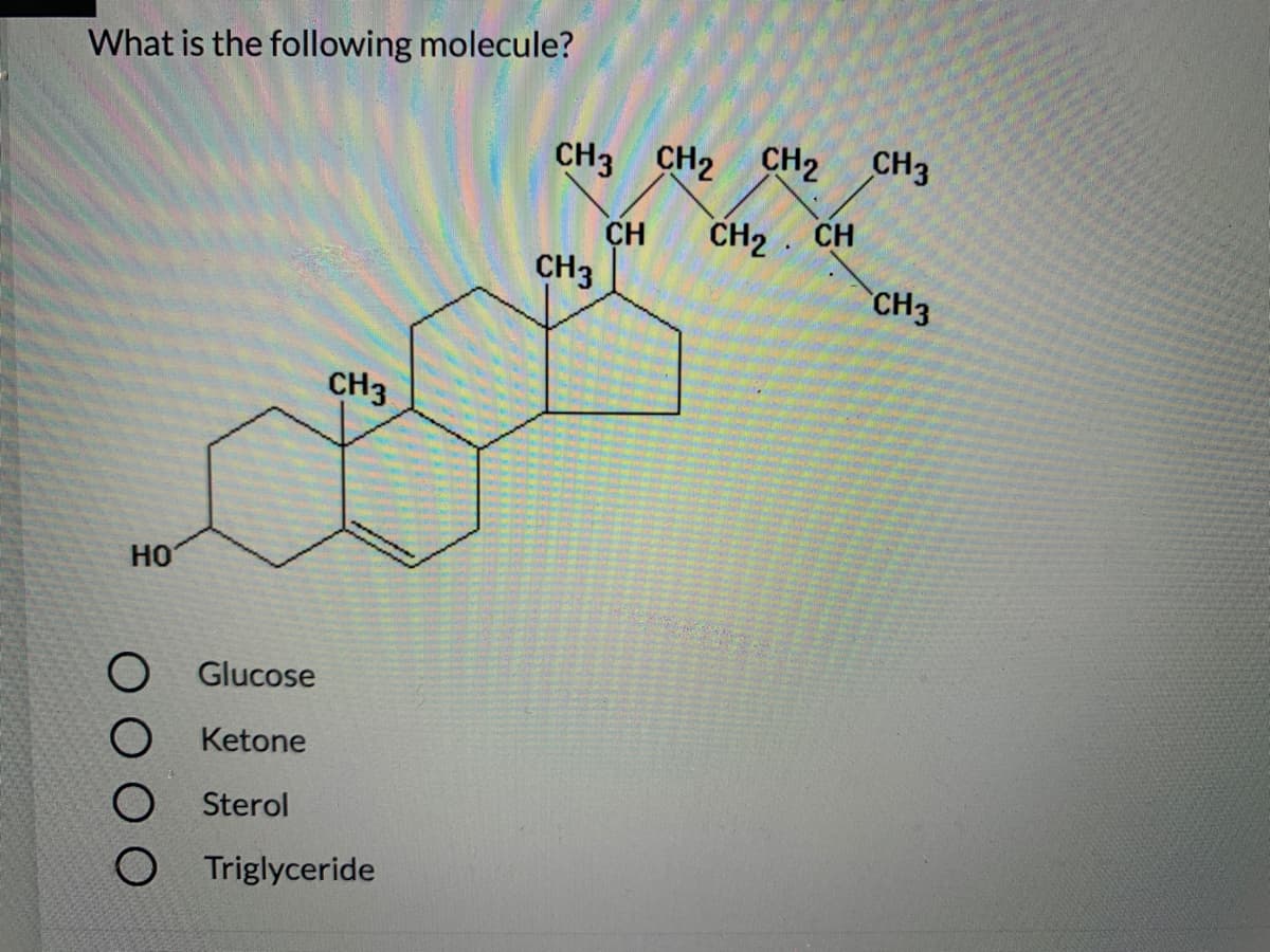 What is the following molecule?
CH3 CH2
CH2 CH3
CH
CH2. CH
CH3
CH3
CH3
но
Glucose
Ketone
Sterol
Triglyceride
