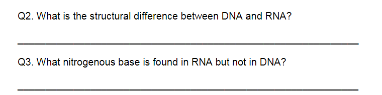 Q2. What is the structural difference between DNA and RNA?
Q3. What nitrogenous base is found in RNA but not in DNA?
