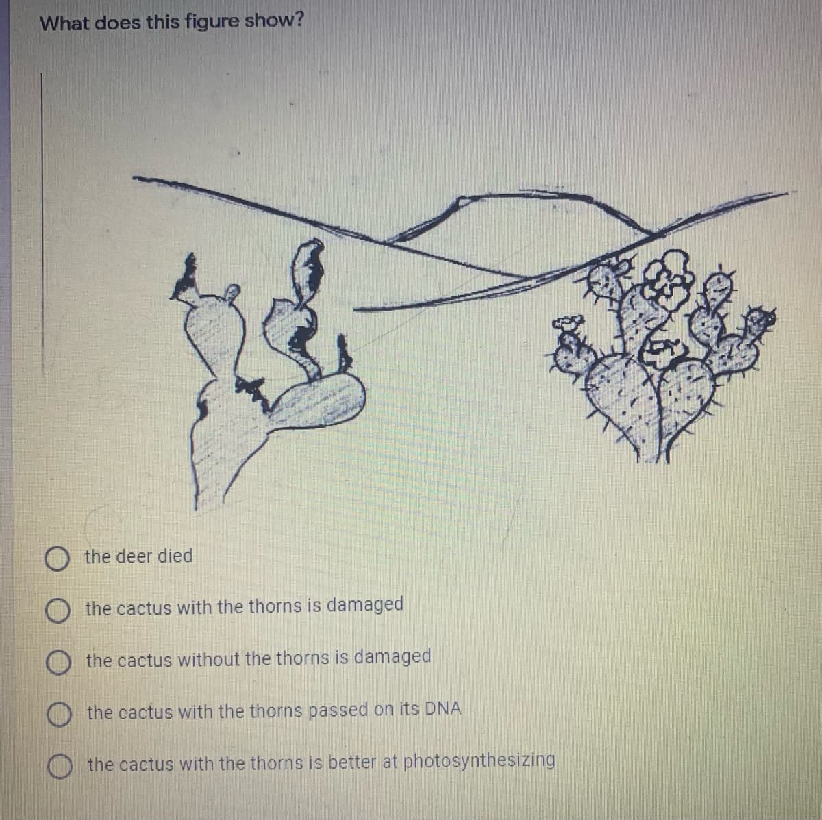 What does this figure show?
O the deer died
O the cactus with the thorns is damaged
the cactus without the thorns is damaged
O the cactus with the thorns passed on its DNA
O the cactus with the thorns is better at photosynthesizing
