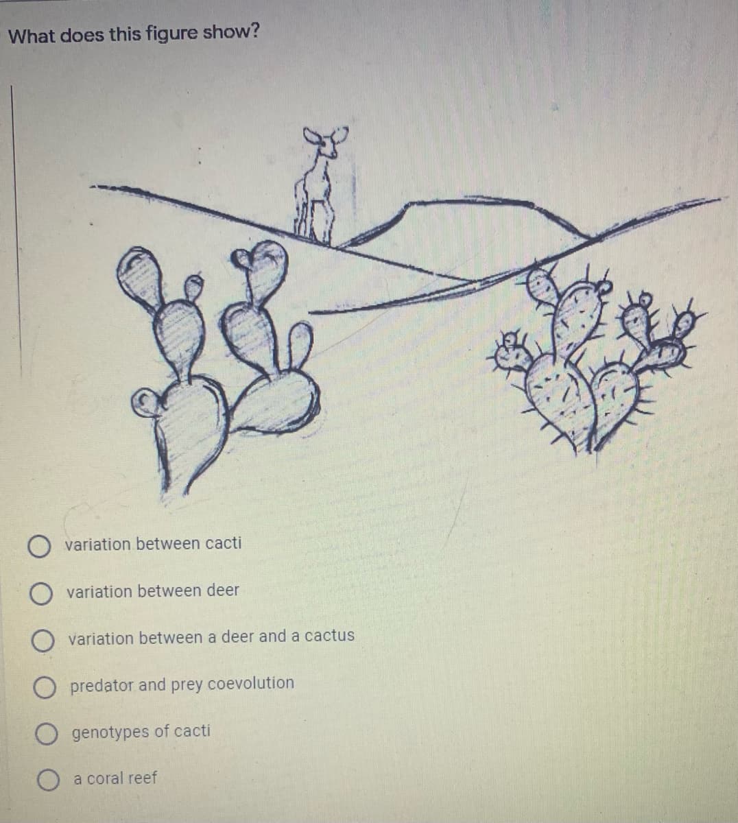 What does this figure show?
variation between cacti
O variation between deer
variation between a deer and a cactus
predator and prey coevolution
genotypes of cacti
a coral reef
