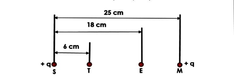 25 cm
18 cm
6 cm
+ q0
+
M
