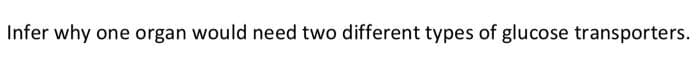 Infer why one organ would need two different types of glucose transporters.