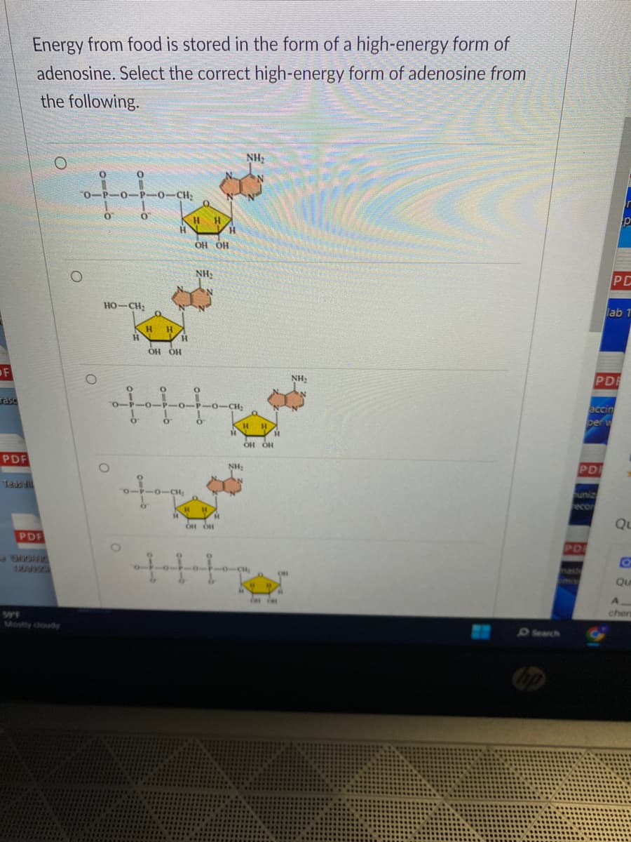OF
rasc
PDF
Energy from food is stored in the form of a high-energy form of
adenosine. Select the correct high-energy form of adenosine from
the following.
Teab fill
PDF
O
O
O
0-P-0-P-0-CH₂
O
0
HO–CH
O
O-
H
O
HH
H
H
OH OH
DIP-O-CH₂
H
H H
OH OH
NH₂
P-O-P-O-CH₂
H H
H
H
ou ou
H
NH₂
HH
NH₂
OH OH
4016₂
H
CHEC
NH₂
Search
PD
PD
PD
uniz
econ
PD
accin
berw
p
lab 1
Qu
Qu
A
cher