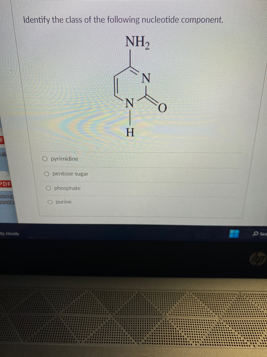 F
PDF
HOFFIC
ANSCR
tly cloudy
Identify the class of the following nucleotide component.
NH₂
O pyrimidine
O pentose sugar
O phosphate
O purine
N
H
N
to
Sear
hp