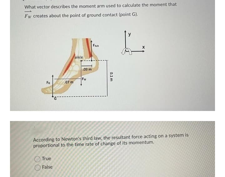 What vector describes the moment arm used to calculate the moment that
Fw creates about the point of ground contact (point G).
y
Fach
ankle
.03 m
Fw
Fg
.07 m
According to Newton's third law, the resultant force acting on a system is
proportional to the time rate of change of its momentum.
True
False
0.1 m
