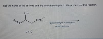 Use the name of the enzyme and any coenzyme to predict the products of this reaction.
0
OH
NAD
2-
LOPO,
glyceraldehyde 3-phosphate
dehydrogenase