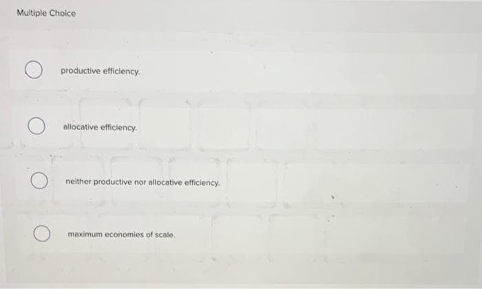 Multiple Choice
productive efficiency.
allocative efficiency.
nelther productive nor allocative efficiency.
maximum economies of scale.
