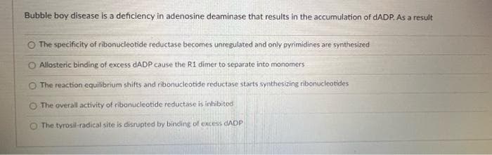 Bubble boy disease is a deficiency in adenosine deaminase that results in the accumulation of DADP. As a result
O The specificity of ribonucleotide reductase becomes unregulated and only pyrimidines are synthesized
O Allosteric binding of excess DADP cause the R1 dimer to separate into monomers
O The reaction equilibrium shifts and ribonucleotide reductase starts synthesizing ribonucleotides
O The overal activity of ribonucleotide reductase is inhibited
The tyrosil-radical site is disrupted by binding of excess dADP
