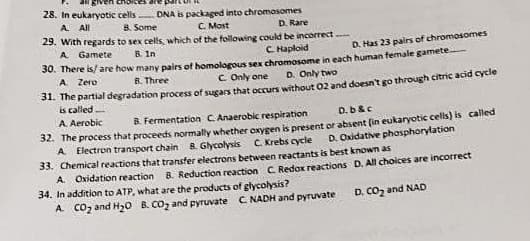 ven choice
28. In eukaryotic cells
DNA is packaged into chromosomes
D. Rare
A All
8. Some
C. Most
29. With regards to sex cells, which of the following could be incorrect
A Gamete
B. In
C Haploid
D. Has 23 pairs of chromosomes
30. There is/are how many pairs of homologous sex chromosome in each human female gamete
A Zero
B. Three
C Only one
D. Only two
31. The partial degradation process of sugars that occurs without 02 and doesnt go through citric acid cycle
is called
B. Fermentation C. Anaerobic respiration
D. b&c
A Aerobic
S2. The process that proceeds normally whether oxygen is present or absent (in eukaryotic celis) is called
A Electron transport chain B. Glycolysis
C. Krebs cycle
D. Oxidative phosphorylation
33. Chemical reactions that transfer electrons between reactants is best known as
A Oxidation reaction
8. Reduction reaction C Redox reactions D. All choices are incorrect
34. In addition to ATP, what are the products of głycolysis?
A. COz and H0 B. CO, and pyruvate C NADH and pyruvate
D. CO, and NAD
