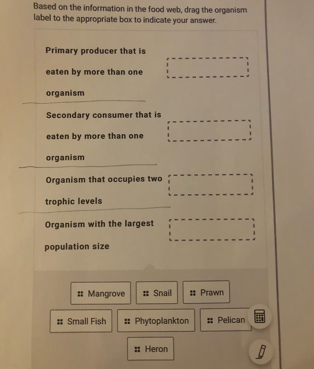 Based on the information in the food web, drag the organism
label to the appropriate box to indicate your answer.
Primary producer that is
eaten by more than one
organism
Secondary consumer that is
eaten by more than one
organism
Organism that occupies two
trophic levels
Organism with the largest
population size
: Mangrove
: Snail
: Prawn
: Small Fish
: Phytoplankton
: Pelican
: Heron
