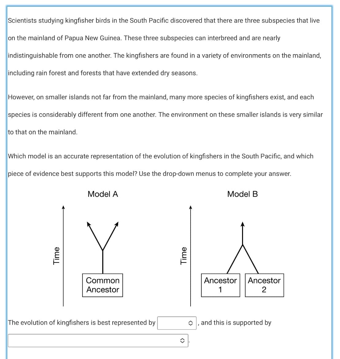 Scientists studying kingfisher birds in the South Pacific discovered that there are three subspecies that live
on the mainland of Papua New Guinea. These three subspecies can interbreed and are nearly
indistinguishable from one another. The kingfishers are found in a variety of environments on the mainland,
including rain forest and forests that have extended dry seasons.
However, on smaller islands not far from the mainland, many more species of kingfishers exist, and each
species is considerably different from one another. The environment on these smaller islands is very similar
to that on the mainland.
Which model is an accurate representation of the evolution of kingfishers in the South Pacific, and which
piece of evidence best supports this model? Use the drop-down menus to complete your answer.
Model A
Model B
Common
Ancestor
Ancestor
Ancestor
2
The evolution of kingfishers is best represented by
and this is supported by
Time
Time
