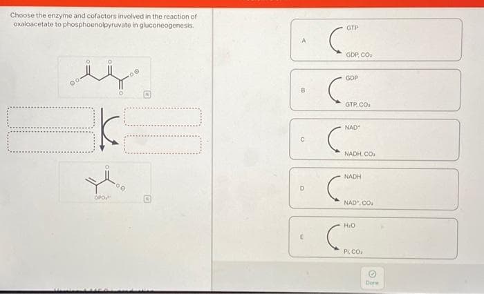 Choose the enzyme and cofactors involved in the reaction of
oxaloacetate to phosphoenolpyruvate in gluconeogenesis.
VAREN
K
OPO
200
00
10
B
D
E
GTP
C
GDP, CO
GDP
(⁰⁰
NAD
1. C
(MAD
C
GTP. CO₂
NADH.CO
NADH
C
NAD.CO.
H₂O
C
PI, CO
Done