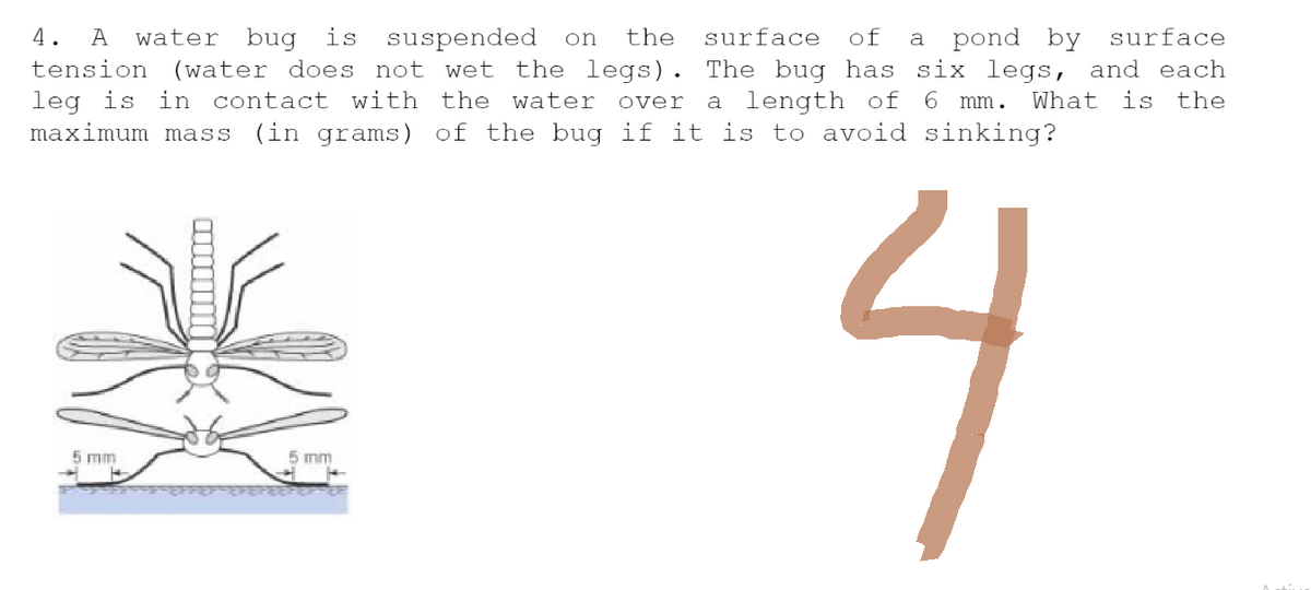 4. A water bug is suspended on the surface of a pond by surface
tension (water does not wet the legs). The bug has six legs, and each
leg is in contact with the water over a length of 6 mm. What is the
maximum mass (in grams) of the bug if it is to avoid sinking?
4
5 mm