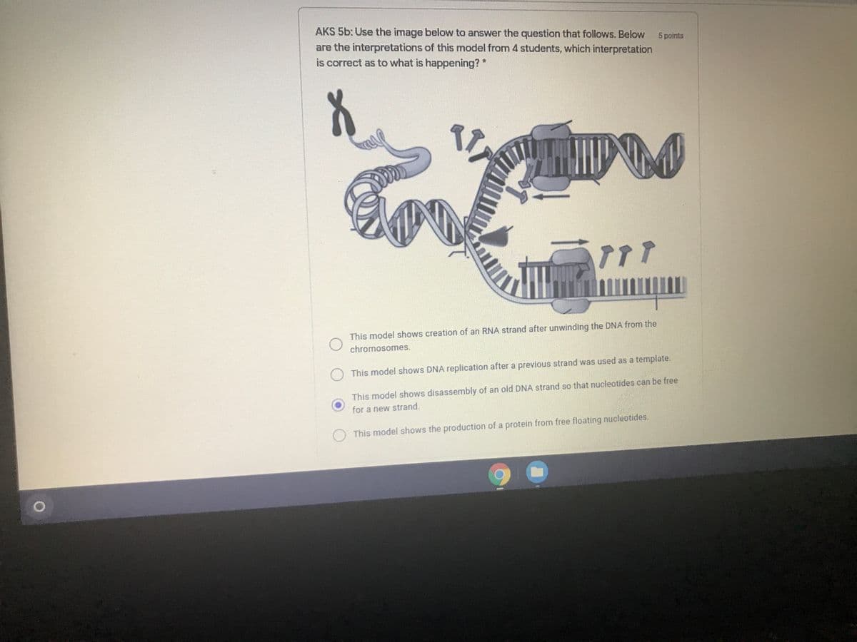 AKS 5b: Use the image below to answer the question that follows. Below
5 points
are the interpretations of this model from 4 students, which interpretation
is correct as to what is happening?*
This model shows creation of an RNA strand after unwinding the DNA from the
chromosomes.
This model shows DNA replication after a previous strand was used as a template.
This model shows disassembly of an old DNA strand so that nucleotides cạn be free
for a new strand.
O This model shows the production of a protein from free floating nucleotides.
