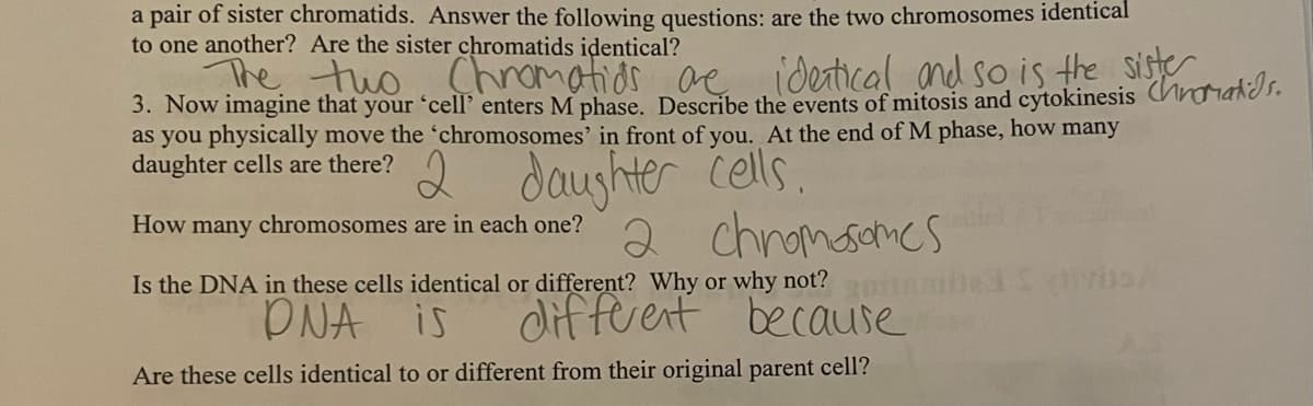 a pair of sister chromatids. Answer the following questions: are the two chromosomes identical
to one another? Are the sister chromatids identical?
Chromatids are
The two
identical and so is the sister
3. Now imagine that your 'cell' enters M phase. Describe the events of mitosis and cytokinesis Chromatids.
as you physically move the 'chromosomes' in front of you. At the end of M phase, how many
daughter cells are there?
2
daughter cells.
How many chromosomes are in each one?
2 chromosomes
Is the DNA in these cells identical or different? Why or why not? mbe
DNA is
different because
Are these cells identical to or different from their original parent cell?
VISA