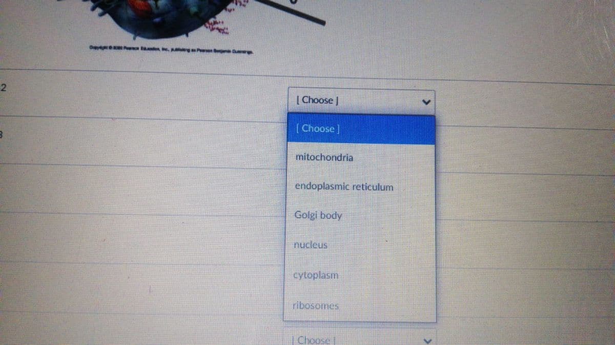 Dy Pa . p g Pen Bu
2
|Choose |
[Choose|
mitochondria
endoplasmic reticulum
Golgi body
nucleus
cytoplasm
ribosomes
|Choose
