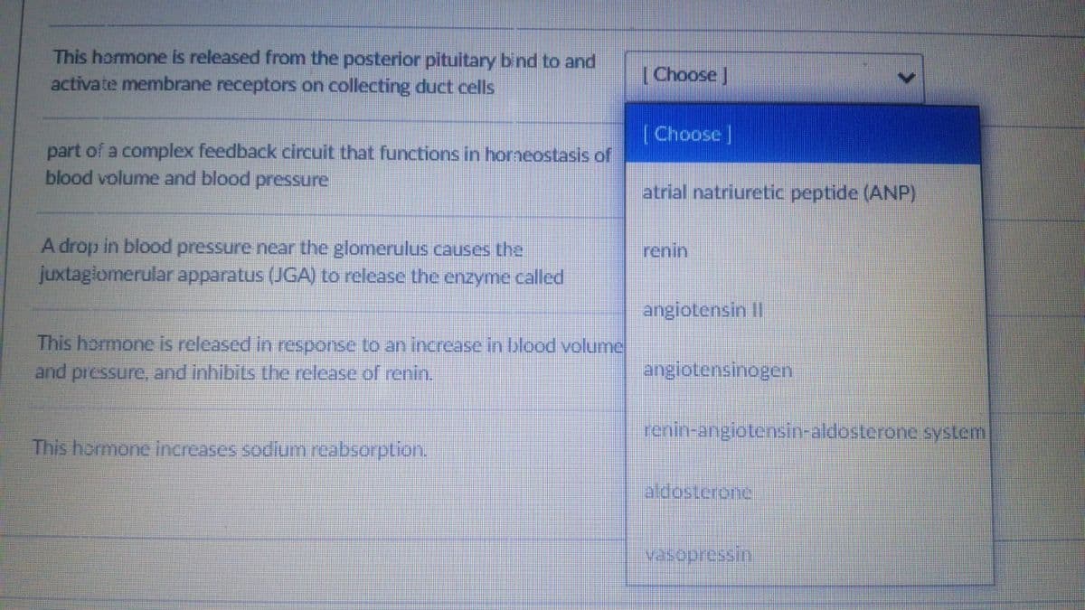 This hormone is released from the posterior pituitary bind to and
activate membrane receptors on collecting duct cells
[Choose]
(Choose]
part of a complex feedback circuit that functions in horneostasis of
blood volume and blood pressure
atrial natriuretic peptide (ANP)
A drop in blood pressure near the glomerulus causes the
renin
juxtagiomerular apparatus (JGA) to release the enzyme called
angiotensin II
This hormone is released in response to an increase in blood volume
and pressure, and inhibits the release of renin.
angiotensinogen
renin-angiotensin-aldosterone system
This hormone increases sodium reabsorption.
aldostcronc
