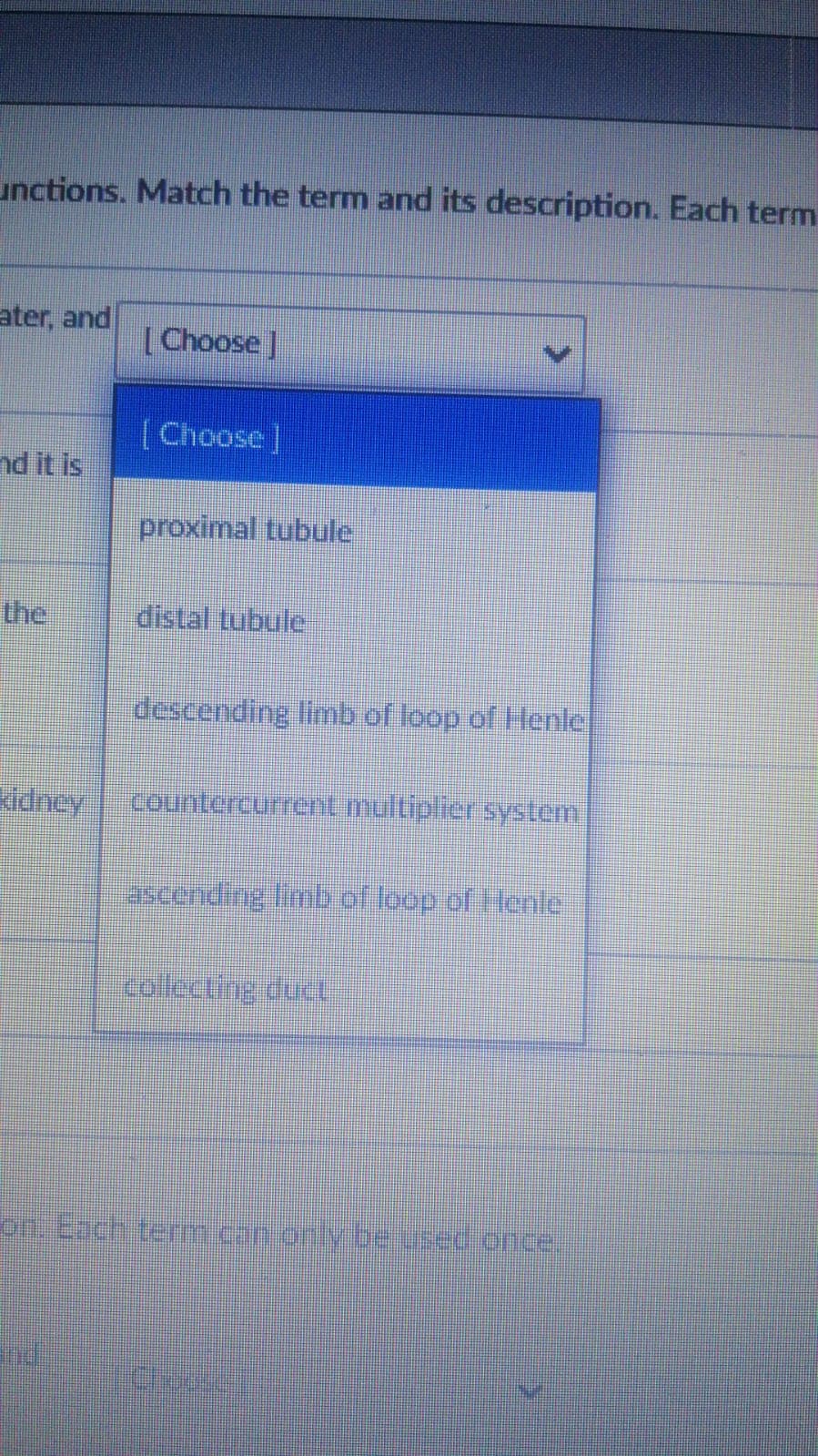 unctions. Match the term and its description. Each term
ater, and
[Choose]
( Choose]
nd it is
proximal tubule
the
distal tubule
descending limb of loop of Henle
Kidney
countercurrent multiplier system
ascending limb of loop of Henle
collecting duc
on Each term.can only be used once.
nd
