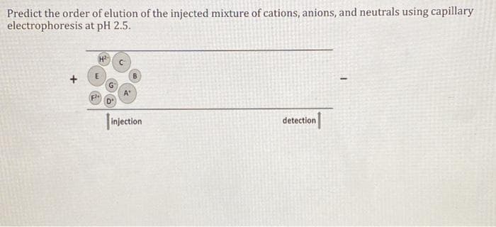 Predict the order of elution of the injected mixture of cations, anions, and neutrals using capillary
electrophoresis at pH 2.5.
injection
detection
