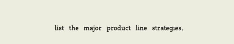 list the major product line strategies.