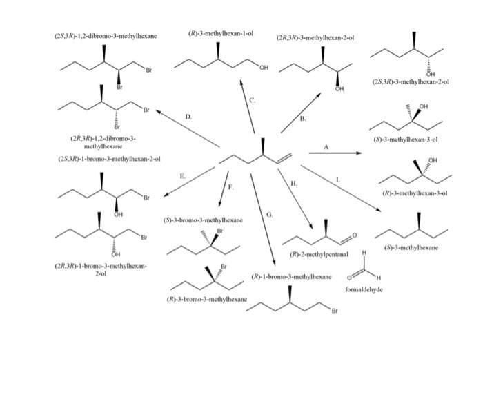 (25,3R)-1,2-dibromo-3-methylhexane
(2R 3R)-1,2-dibromo-3-
methylhexane
(28,3R)-1-bromo-3-methylhexan-2-ol
'Br
(2R 3R)-1-bromo-3-methylhexan
2-ol
(R)-3-methylhexan-1-ol
D.
(S)-3-bromo-3-methylhexane
(R)-3-bromo-3-methylhexane
OH
G
(2R 3R)-3-methylhexan-2-ol
H.
B.
OH
(R)-1-bromo-3-methylhexane
L
(R)-2-methylpentanal
(25,3R)-3-methylhexan-2-ol
OH
(S)-3-methylhexan-3-ol
(R)-3-methylhexan-3-ol
formaldehyde
(S)-3-methylhexane