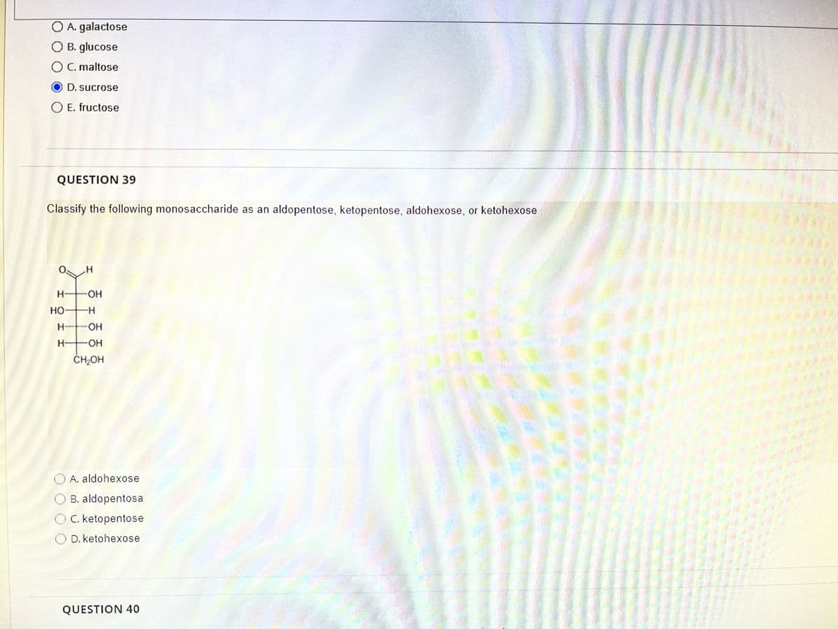 A. galactose
B. glucose
O C. maltose
D. sucrose
O E. fructose
QUESTION 39
Classify the following monosaccharide as an aldopentose, ketopentose, aldohexose, or ketohexose
H
OH
H-
HO FH
H
OH
H-OH
CH₂OH
A. aldohexose
B. aldopentosa
C. ketopentose
D. ketohexose
W
QUESTION 40
