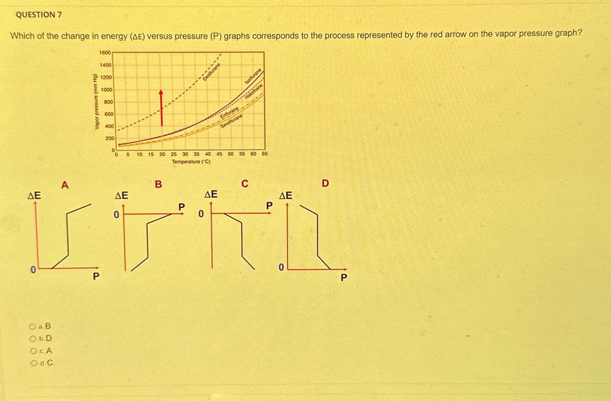 QUESTION 7
Which of the change in energy (AE) versus pressure (P) graphs corresponds to the process represented by the red arrow on the vapor pressure graph?
ΔΕ
0
O a. B
O b. D
OC.A
O d.C
A
Vapor pressure (mm Hg)
1600
P
1400
1200
1000
800
600
400
200
do
0
5
ΔΕ
10
------
Desflurane
B
Enflurane
Sevoflurane
15 20 25 30 35 40 45
Temperature (°C)
Isoflurane
****
trishane
50 55
60 65
D
C
ΔΕ
ΔΕ
Р
0
Phi
0
P